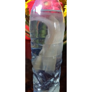 Giấm chuối chua 500ml
