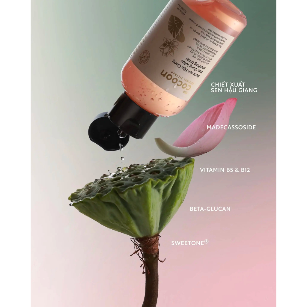 Nước Sen Hậu Giang (Toner) Cocoon 310ML | BigBuy360 - bigbuy360.vn