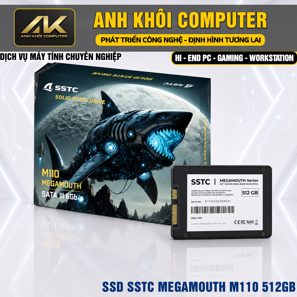 Ổ CỨNG SSD SSTC M110 MEGAMOUTH 512GB/256GB SATA III