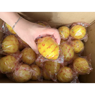 1kg Chanh vàng nhập khẩu