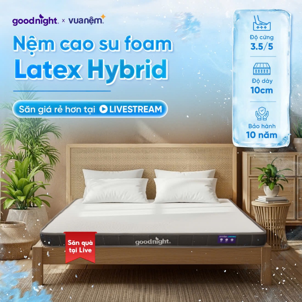Nệm Cao Su Foam Vua Nệm Goodnight Latex Hybrid 10cm, Đệm Cao Su Thiên Nhiên, Nệm cao su non