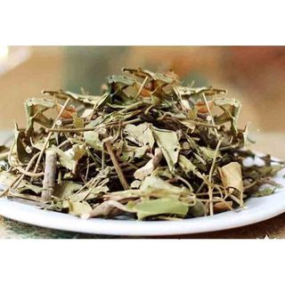 Cây cúc tần khô - Tấn Phát