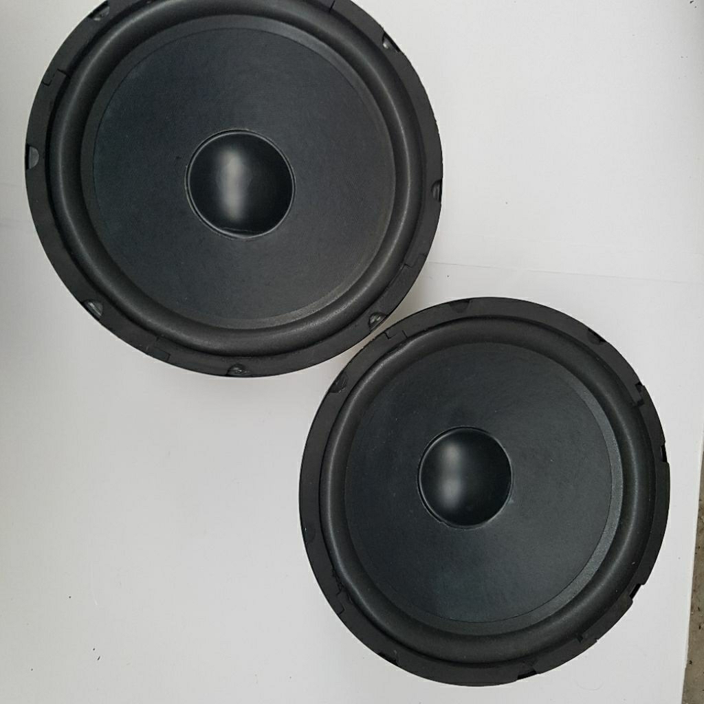 loa bass 25 từ kép 11cm tháo thùng chưa sửa chữa giá 2 loa