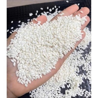[Nếp Bắc] Nếp Cái Hoa Vàng  - Dẻo nhiều, thơm ngon, nếp nấu xôi, nấu chè