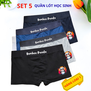 [SET 5] Quần lót bé trai, quần chip cho bé Size30-72KG vải thun lạnh co giãn, thoáng mát cho bé trai