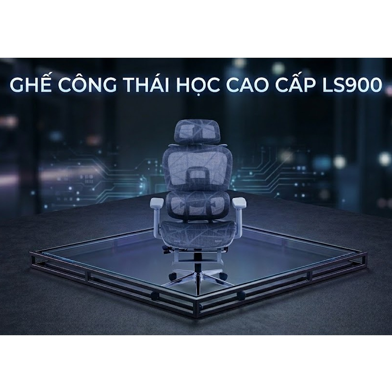 Ghế Công Thái Học Cao Cấp LS900