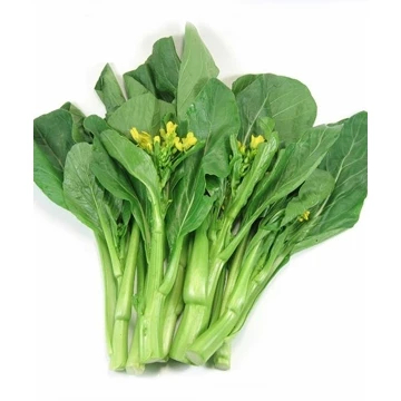 [Top Value] Hạt Giống Cải Ngồng Hoa Ngọt Thái - Nguyên gói 10gram - GM 95% (video shop trồng)