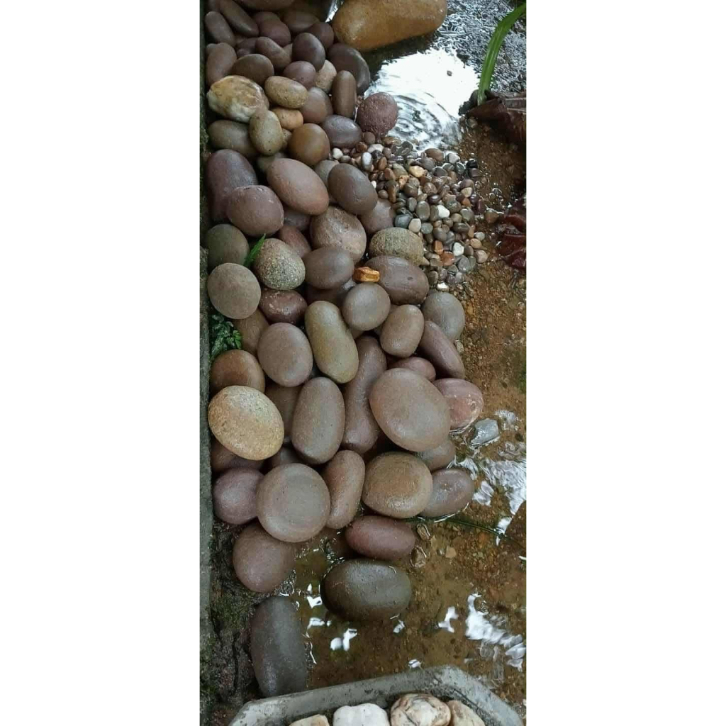 ( 5kg đá cuội size 10-15cm đá setup layout thuỷ sinh ...