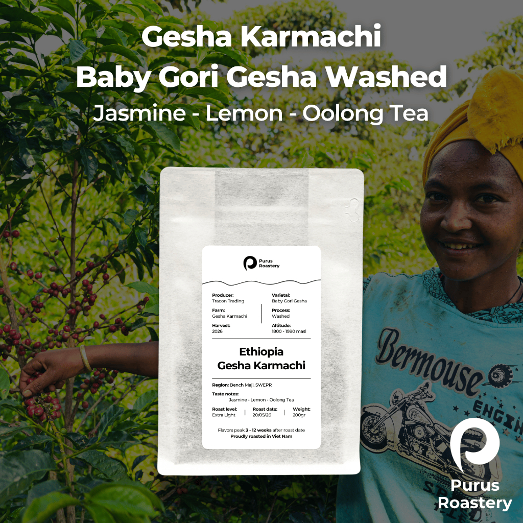 Cà phê đặc sản Ethiopia Gesha Karmachi | Giống Baby Gori Gesha sơ chế Washed | Extra Light Roast