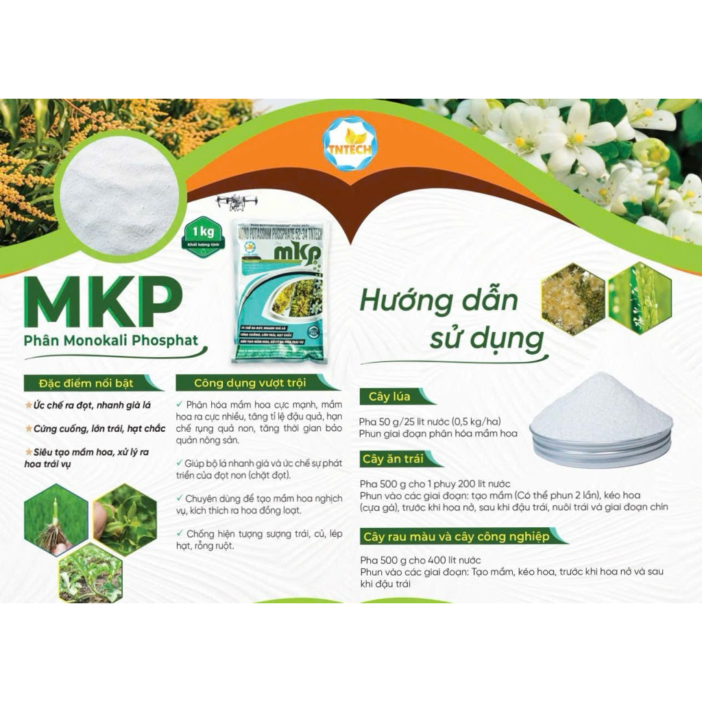 Phân bón MKP  0-52-34 1kg TẠO MẦM HOA, GIÀ LÁ NHANH