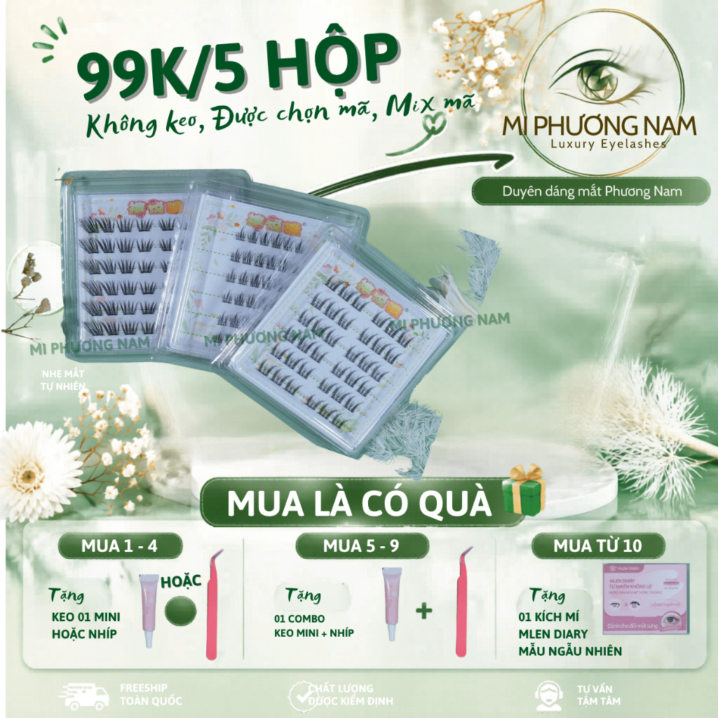 Mi 6 Hàng Không Keo - Combo 5 Hộp Chỉ 99K Tặng Keo + Nhíp, Được Chọn Mẫu | Mi Phương Nam