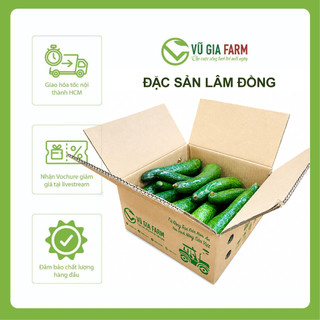 [TOÀN QUỐC] THÙNG 3-5KG Bơ 034 Size Nhỏ 3-4 trái/kg Tây Nguyên Vũ Gia Farm - bơ sạch nhà trồng, thu hoạch trực tiếp