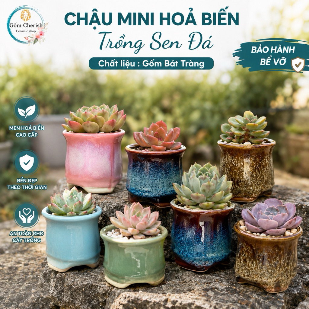 Chậu trồng sen đá, cây cảnh mini bát tràng bonsai. MNBT 2