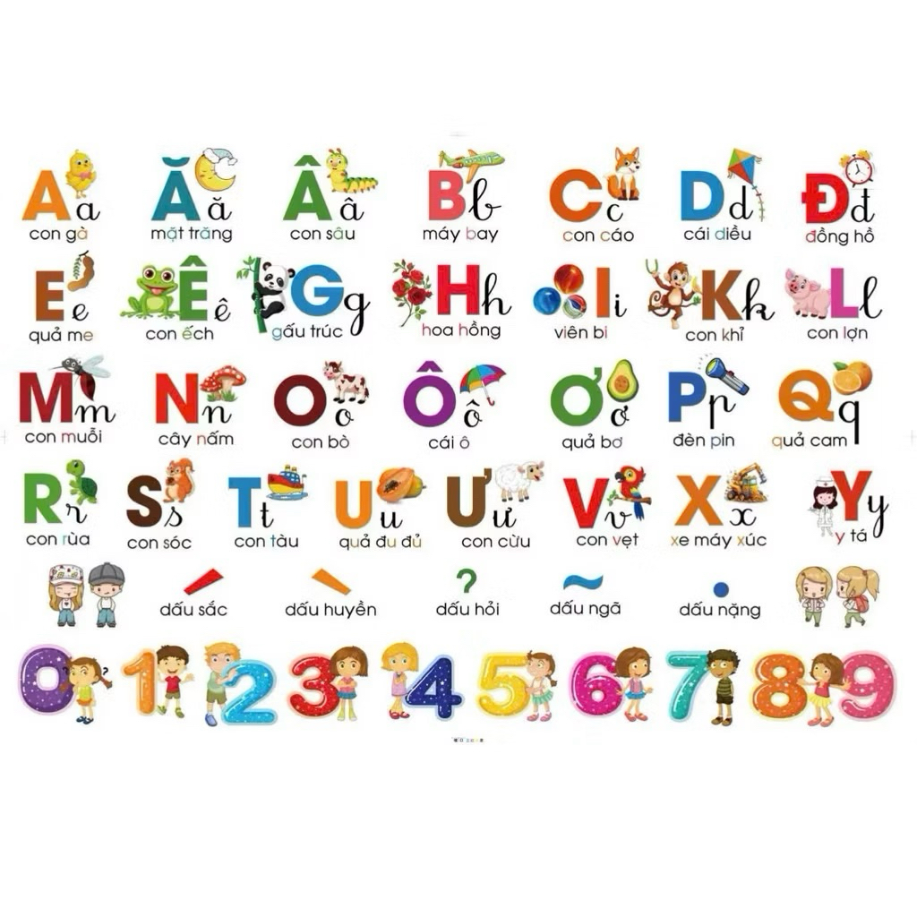 Decal dán tường bảng chữ cái tiếng việt chữ in hoa và viết thường cho bé