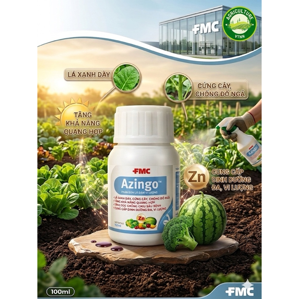 AZINGO- LÁ XANH DÀY- CỨNG CÂY- CHỐNG ĐỔ NGÃ- TĂNG SỨC CHỐNG CHỊU SÂU BỆNH.