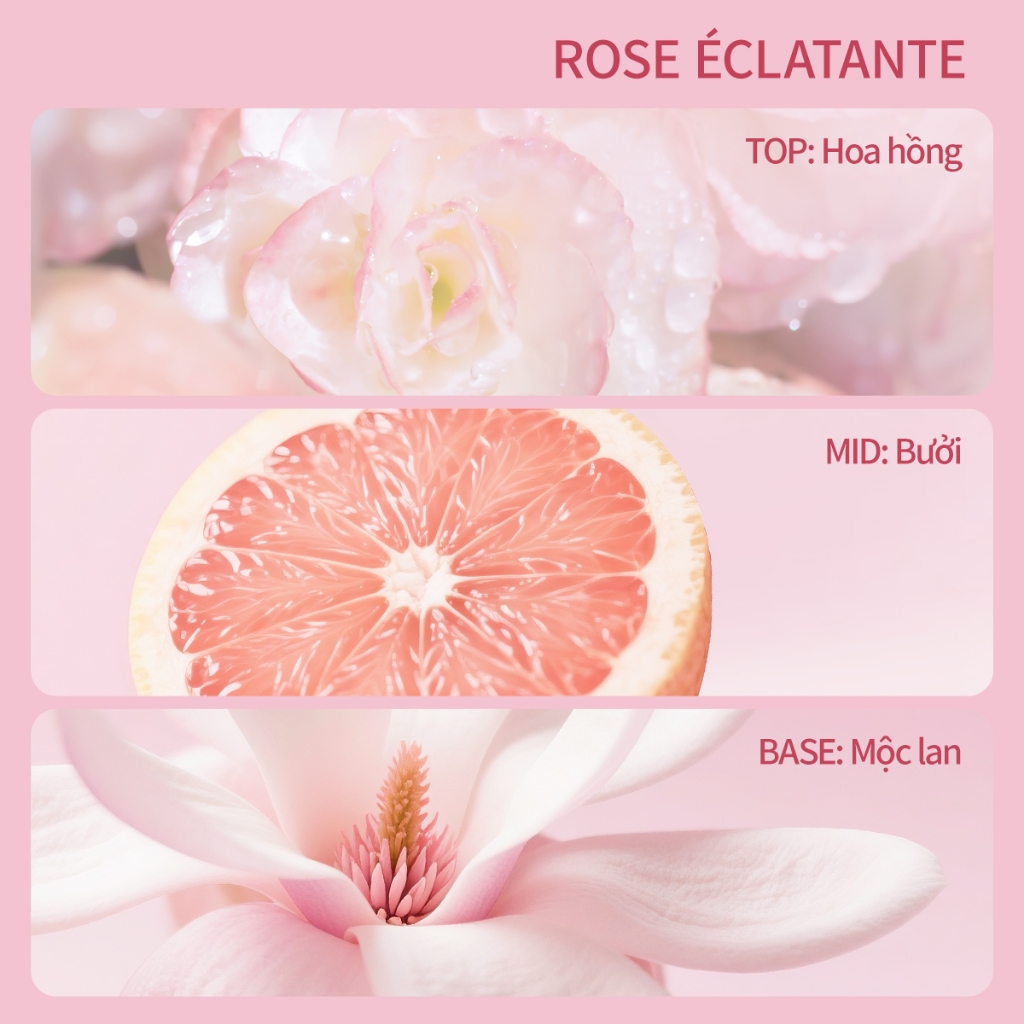 Tinh chất dưỡng trắng toàn thân UILICY 200ml Serum dưỡng thể Hỗ trợ Làm trắng 2%Niacinamide Symwhite377 Rose | BigBuy360 - bigbuy360.vn