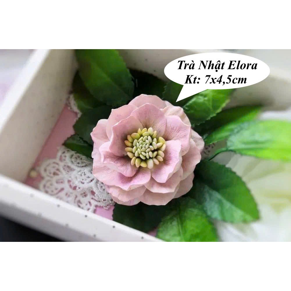 Khuôn silicon Hoa Trà Nhật Elora