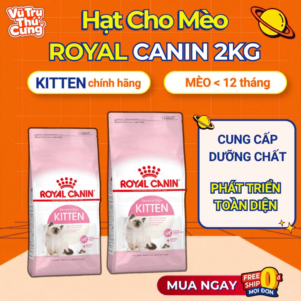 Thức Ăn Hạt Cho Mèo Con Royal Canin Kitten