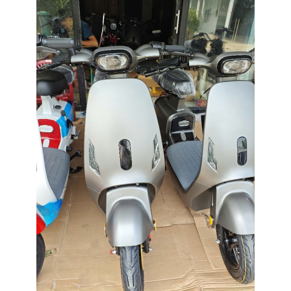 Xe điện V1 plus