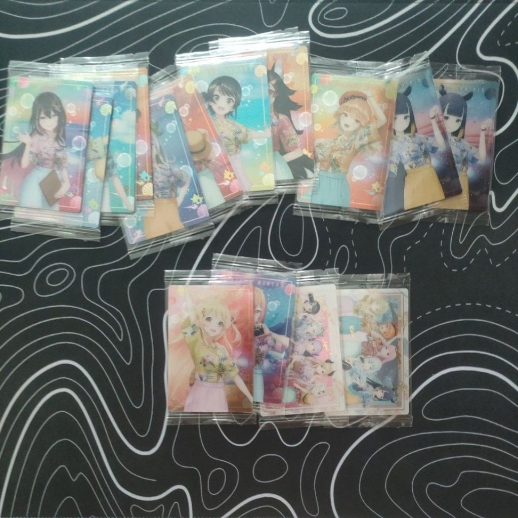 Card Wafer Hololive SUPER EXPO 2024 vol.2[Hauihaugau]