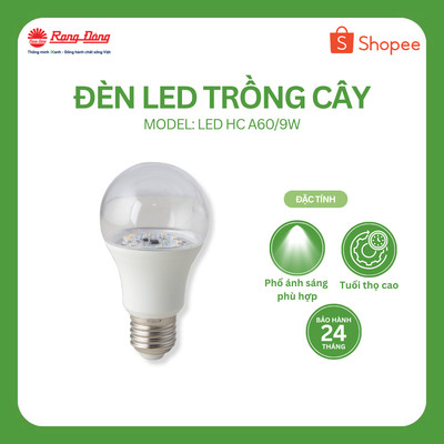 Đèn LED hoa cúc 9W chính hãng Rạng Đông Model: LED HC A60/9W 3000K