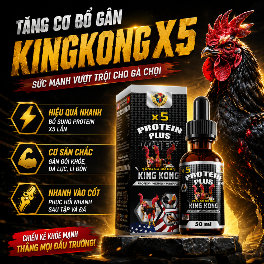 [TẶNG CÔNG ĐÁ] Tăng cơ bổ gân Kingkong x5 cho gà đá, gà chọi phát triển cơ bắp, gân gối toàn diện và
