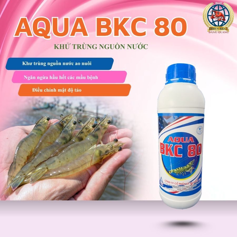 AQUA BKC 80 - KHỬ TRÙNG NGUỒN NƯỚC