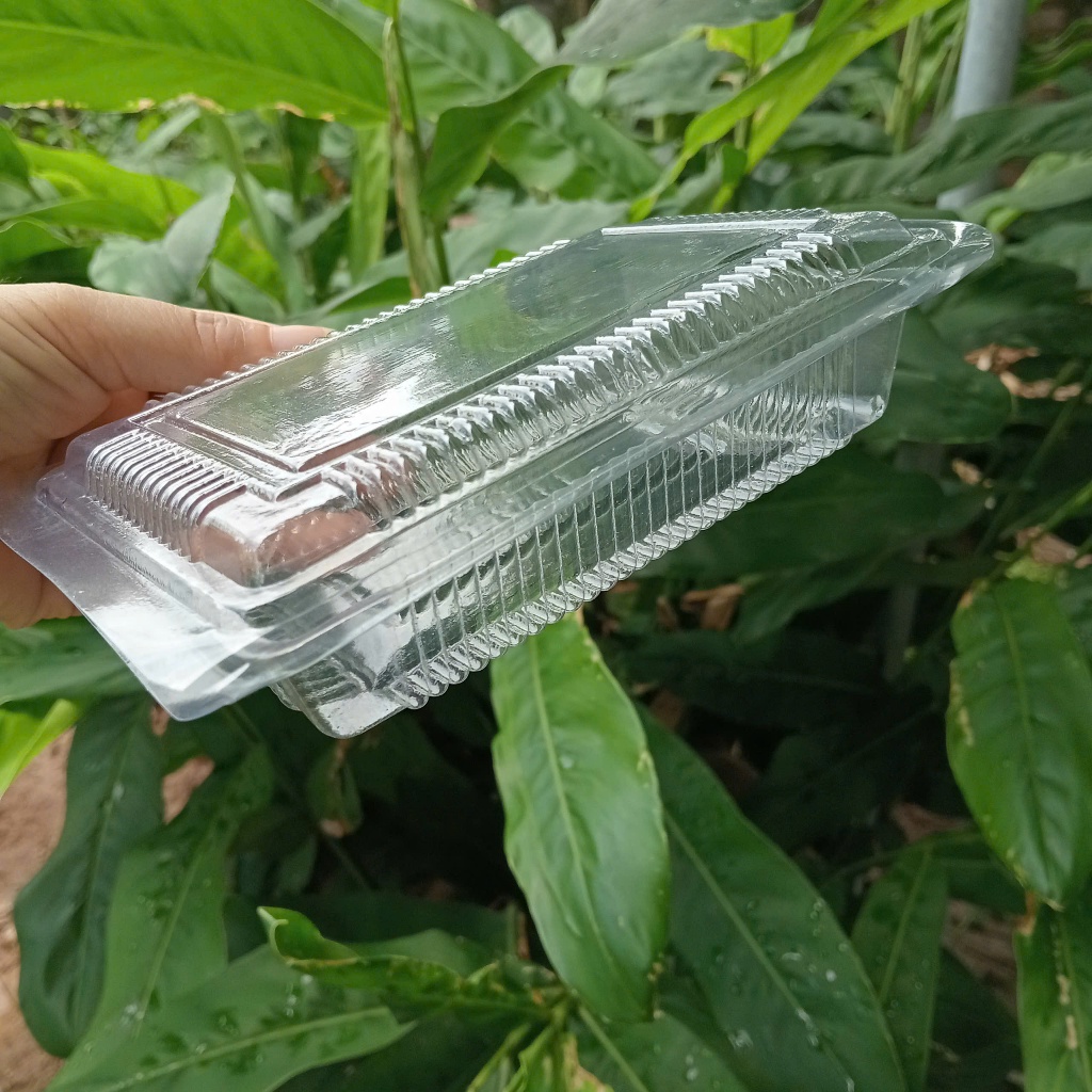 Set 100 Hộp nhựa H23 đựng bánh, hoa quả, đồ ăn, hộp nhựa trong