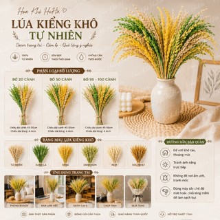 Bó 100 Cành Hoa Lúa Mạch Khô Tự Nhiên Decor Trang Trí Cắm Lọ, Chụp Ảnh, Quà Tặng Vintage - Hoa Khô HuHa