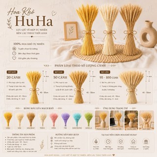 Bó 100 Cành Hoa Lúa Mạch Khô Tự Nhiên Decor Trang Trí Cắm Lọ, Chụp Ảnh, Quà Tặng Vintage - Hoa Khô HuHa