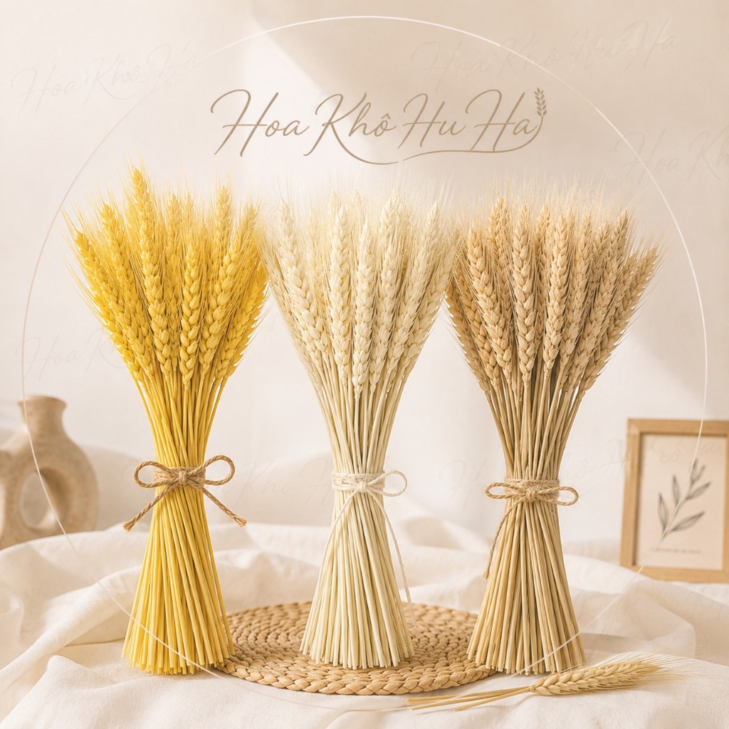 Bó 100 Cành Hoa Lúa Mạch Khô Tự Nhiên Decor Trang Trí Cắm Lọ, Chụp Ảnh, Quà Tặng Vintage - Hoa Khô HuHa
