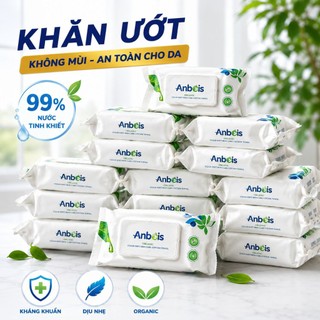 Khăn Ướt Không Mùi Anbeis - Combo 10 Gói, Mềm Mịn Sạch Da An Toàn Cho Bé Và Gia Đình