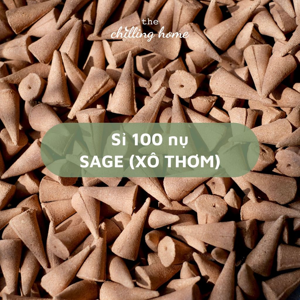 Hộp 100 Nụ Sage