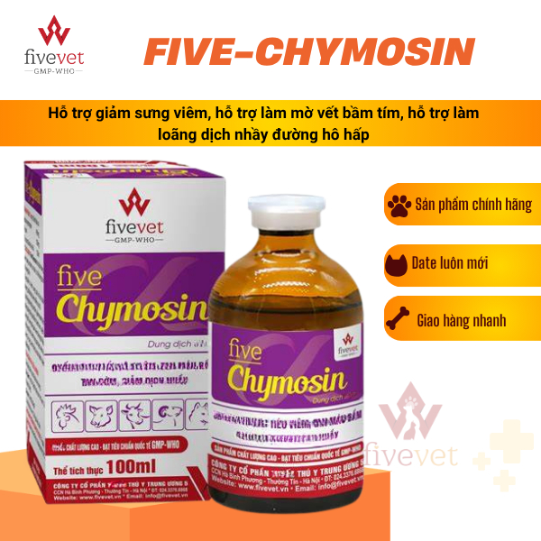 Five-Chymosin Hỗ trợ giảm phù nề, dịu cổ họng, thông thoáng đường thở, hỗ trợ cải thiện vết thâm tím