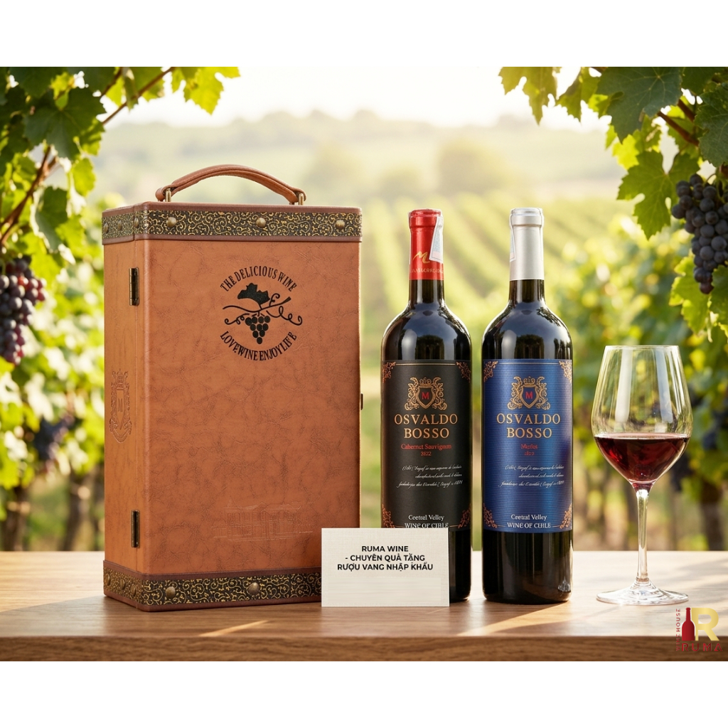 Set quà tặng rượu vang Chile Osvaldo - Hộp CN đôi