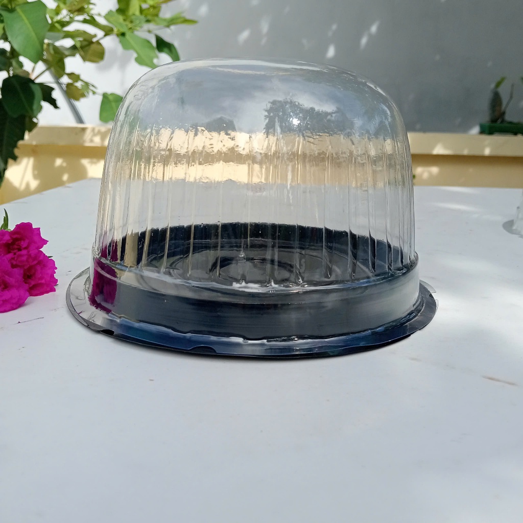 Set 50 Hộp H25 đựng bánh, có 3 loại nắp: THẤP, CAO, BẦU