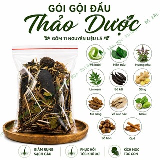Bồ kết thảo dược [5 gói gội]