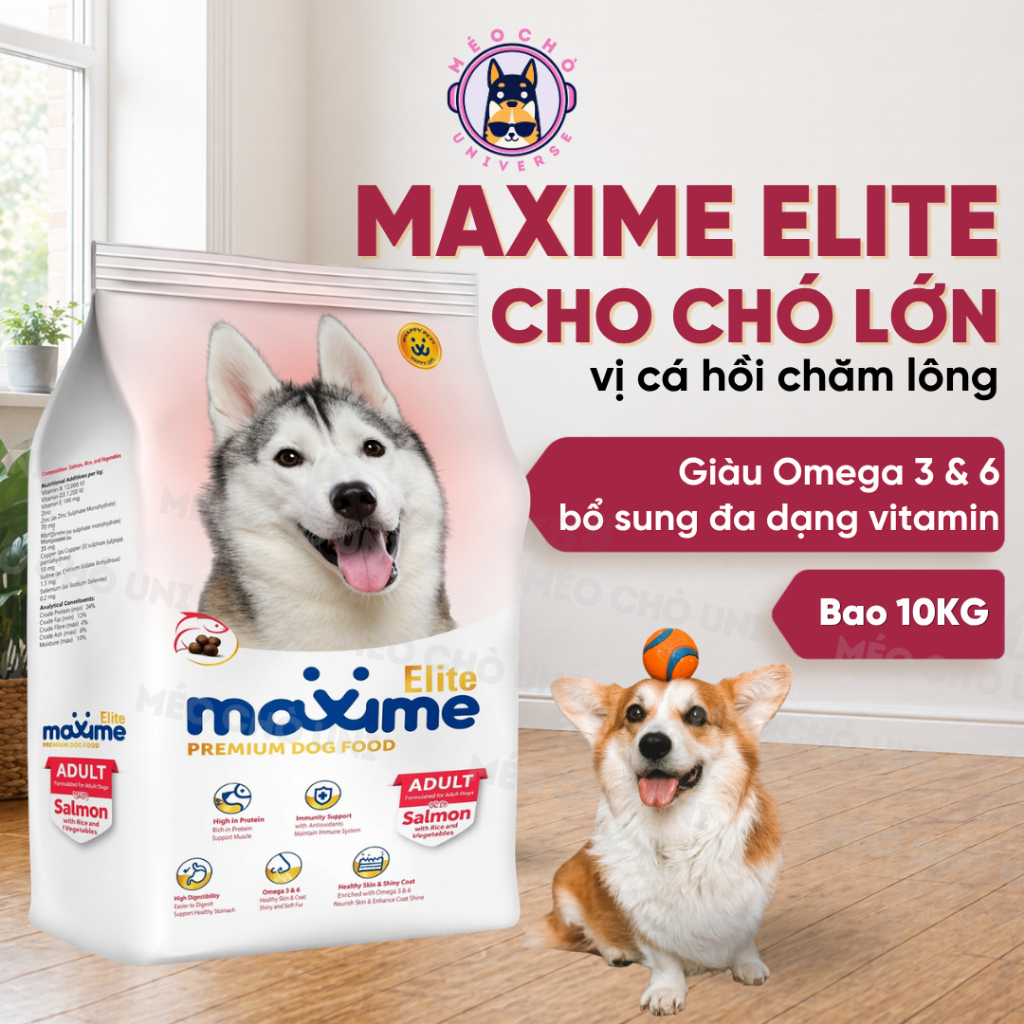 Hạt cho chó trưởng thành MAXIME Elite bao xá 10KG giàu dinh dưỡng - MÉO CHÒ UNI