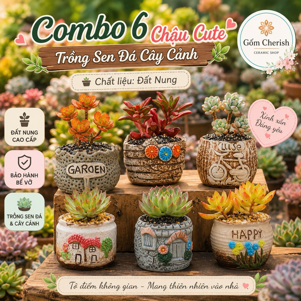 Sét 6 chậu ngẫu nhiên trồng cây cảnh, sen đá, xương rồng cây mini