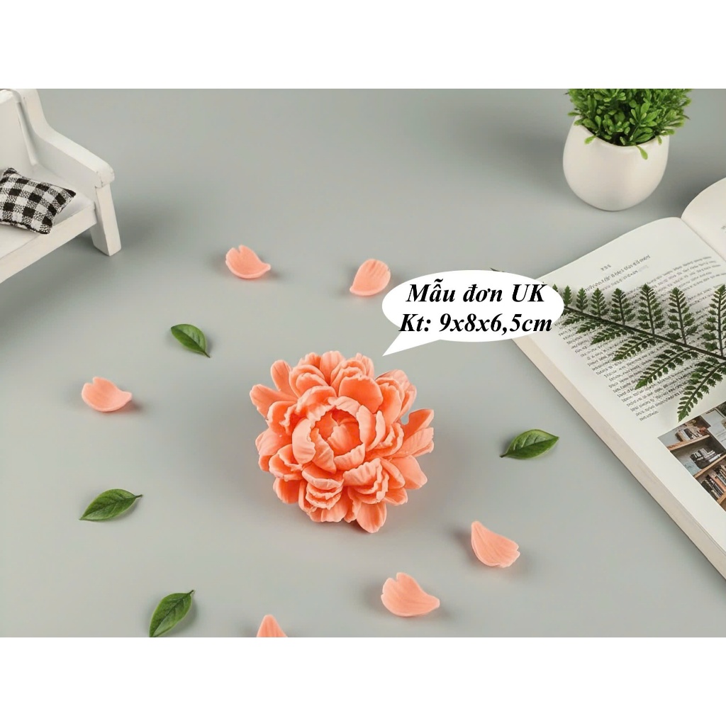 Hoa mẫu đơn UK