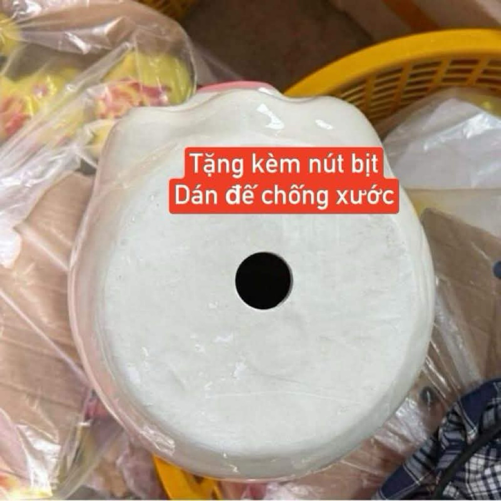 Dịch vụ khoan bụng heo, có nút bịt cao su (dịch vụ khoan nút cần đặt cùng sản phẩm heo), nút bịt lỗ 