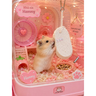 Đá canxi mài răng cho hamster, thỏ, bọ,....