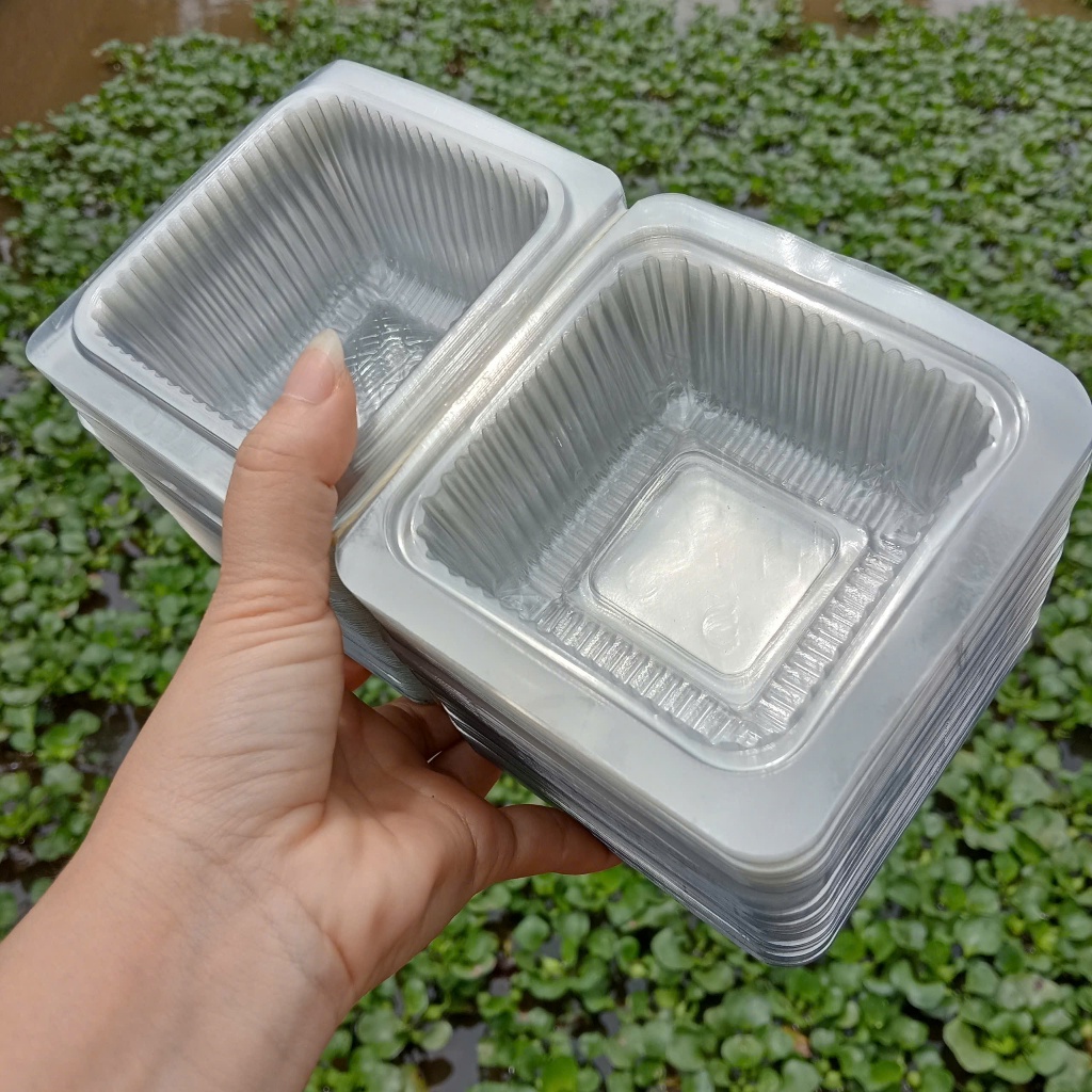 BAO 2400 hộp nhựa PET trong H17