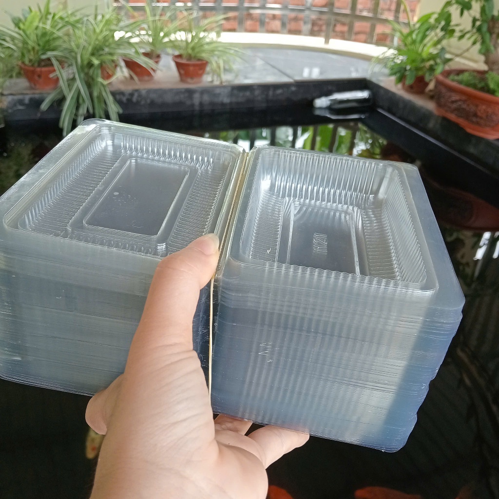 BAO 2000 hộp h21 nhựa pet trong đựng bánh trôi, kimpap