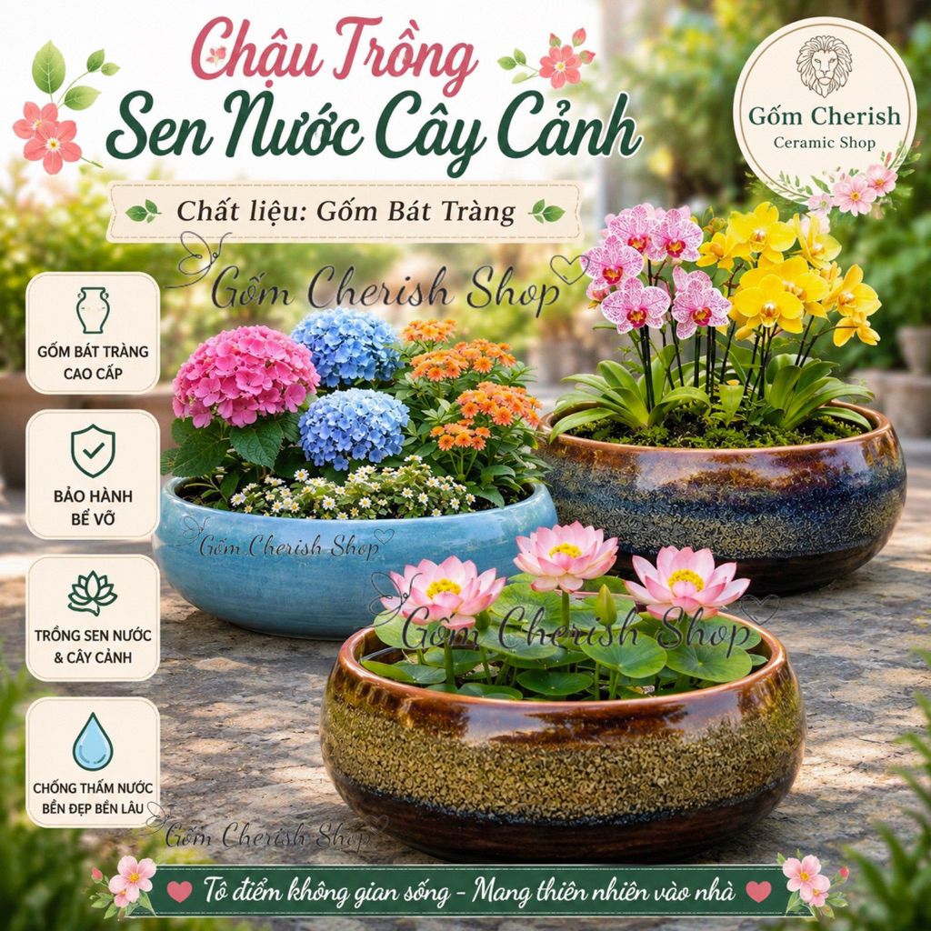 Chậu Trồng Sen Nước Mini ( Hạt Dẻ Lùn Không Lỗ) chậu có lỗ