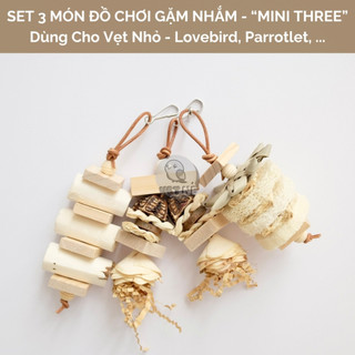Set 3 đồ chơi tự nhiên cho vẹt nhỏ và trung – MINI THREE | Giúp vẹt gặm nhấm, xả stress | Made by Vẹt Nè