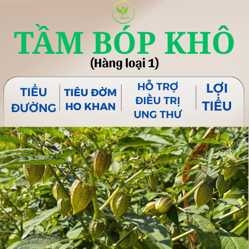 (1Kg TẦM BỐP KHÔ-tự nhiên): cây lồng đèn, bùm bụp, thù lù, bôm bốp.