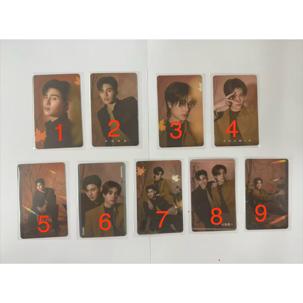 [chính hãng] PONDPHUWIN | ELEMENTS OF SEASONS SERIES EXCLUSIVE PHOTOCARD SET