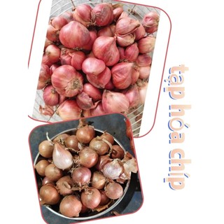 2kg Hành ta/hành cô đơn Khô thơm ngon
