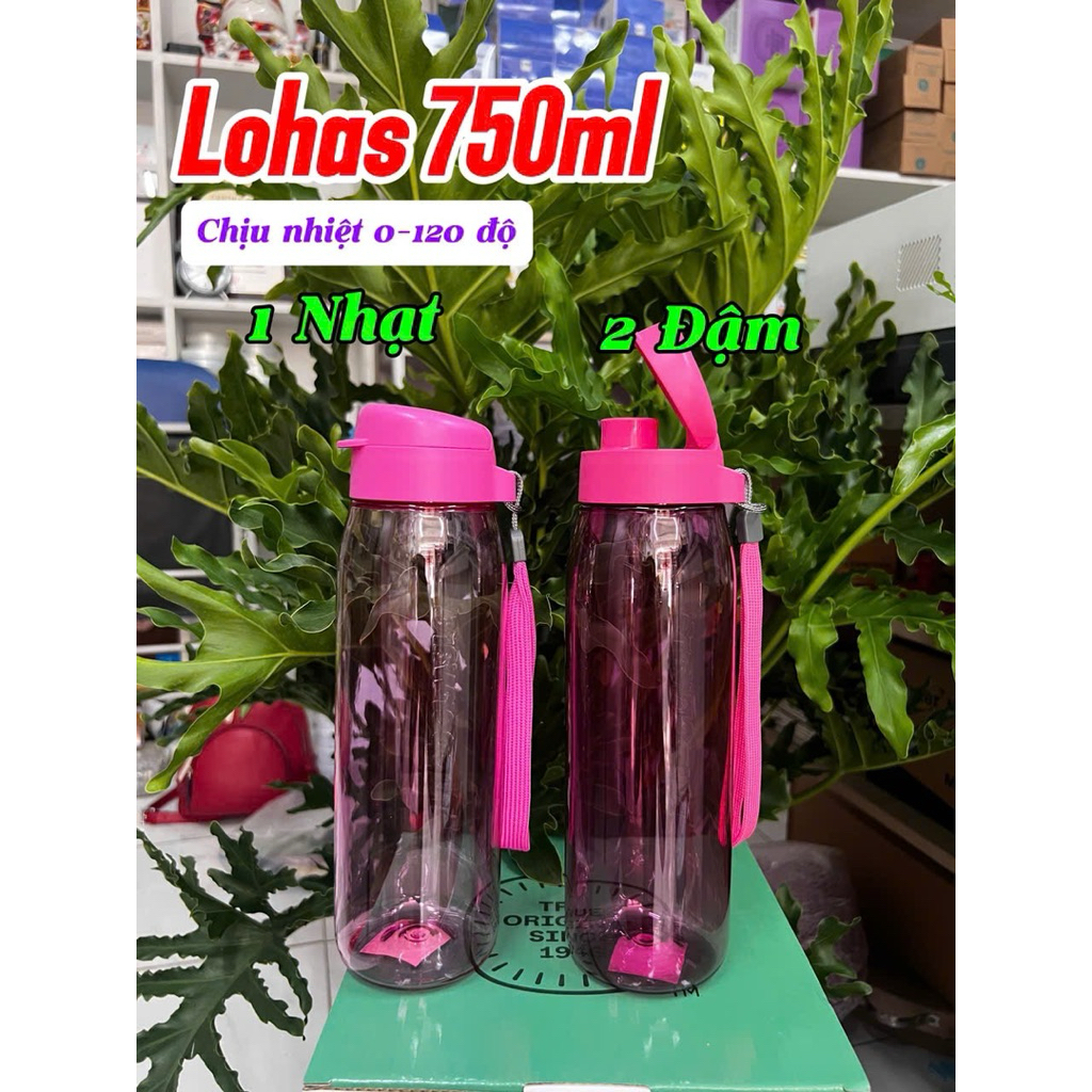 Bình nước lohas 750ml, tup việt pp